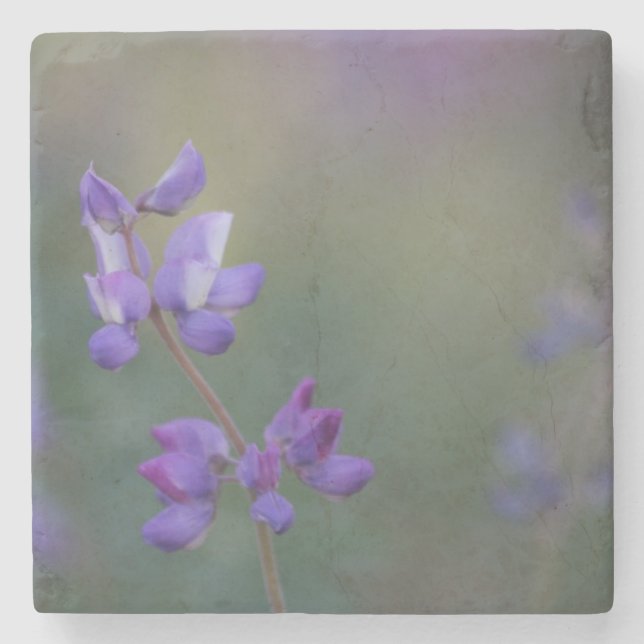 Fält i Lupine Stenunderlägg (Framsidan)