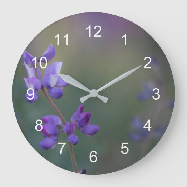 Fält i Lupine Stor Klocka (Framsida)