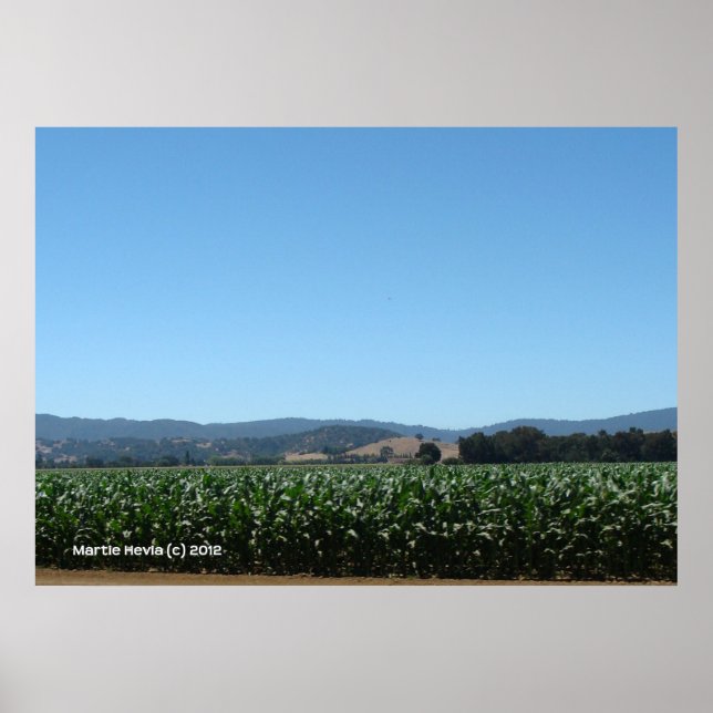 FÄLT i MAJ Poster (Framsidan)