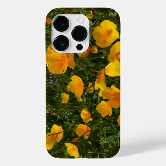Fält i Poppies iphone case (Baksida)