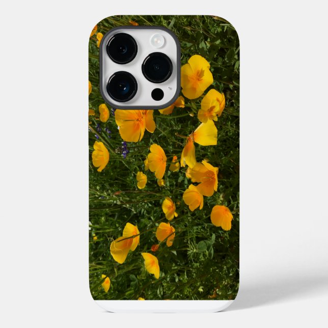 Fält i Poppies iphone case (Baksida)