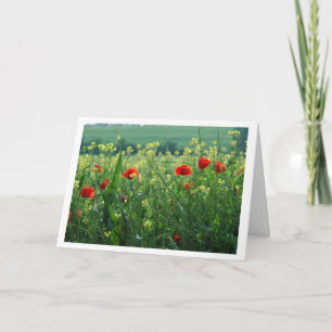 Fält i Poppies Kort