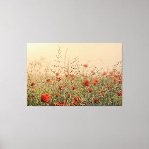 fält i poppies tidigt morgonen canvastryck