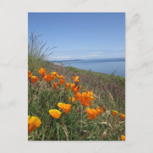 Fält i Poppies Vykort