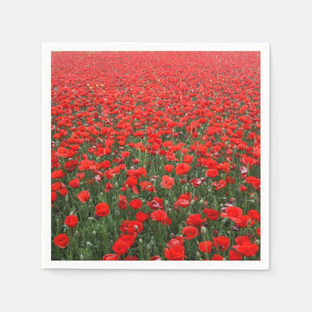 Fält i Röda poppies Pappersservett (Framsidan)