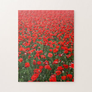 Fält i Röda poppies Pussel