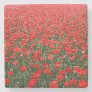 Fält i Röda poppies Stenunderlägg