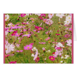 Fält i Rosa Flowers Hälsningskort