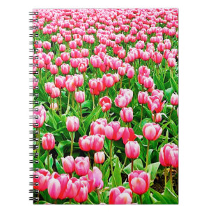 Fält i Rosa Tulips Anteckningsbok Med Spiral