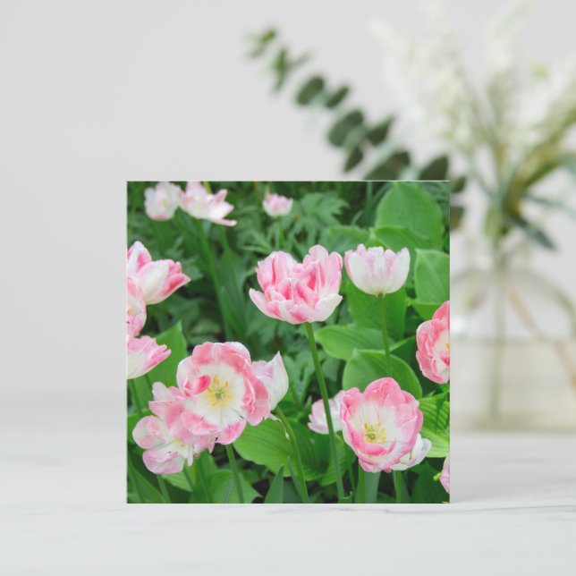 Fält i rosa tulpaner (Stående Fram)