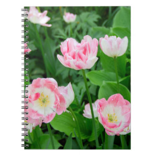 Fält i rosa tulpaner anteckningsbok
