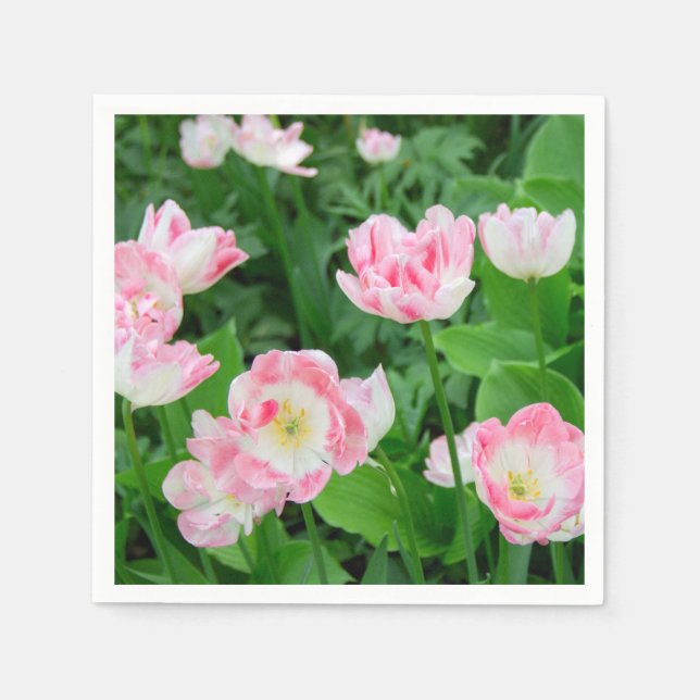 Fält i rosa tulpaner pappersservett (Framsidan)