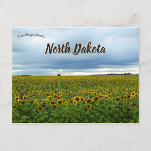 Fält i Sunblommor i North Dakota USA Vykort