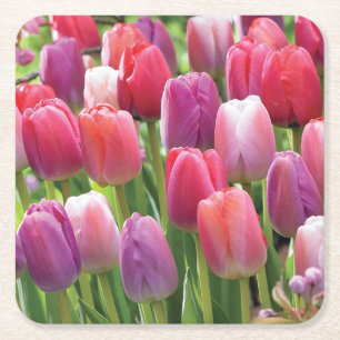 Fält i Tulips Underlägg set Papper Kvadrat