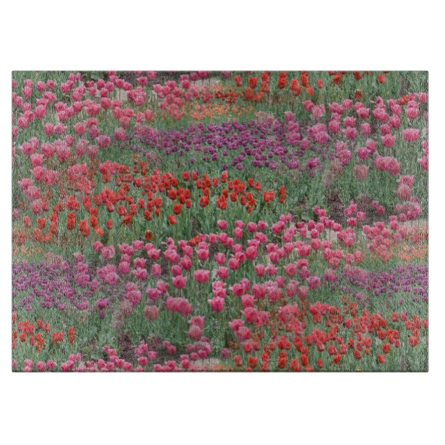 Fält i tulpaner (Framsidan)