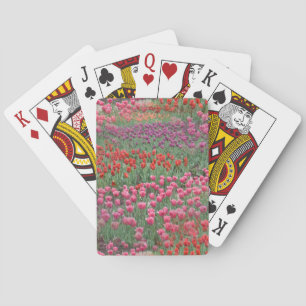 Fält i tulpaner casinokort