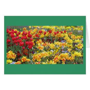 FÄLT i VÅR BLOMMOR Hälsningskort