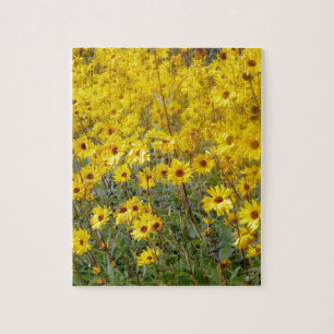Fält i Vibrant Gula blommor Pussel