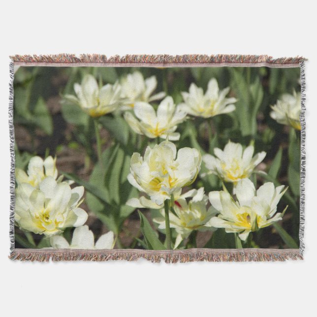 Fält i vita tulpanfoto filt (Framsidan)
