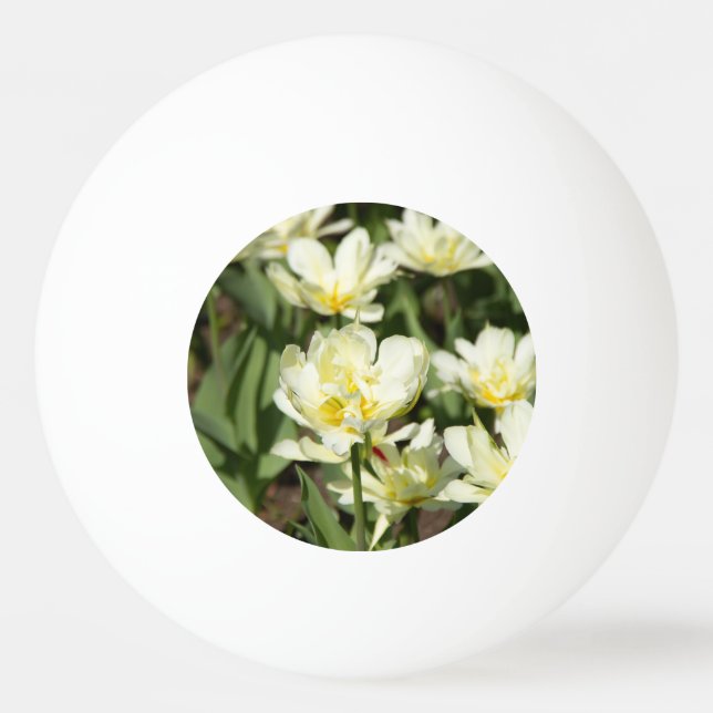 Fält i vita tulpanfoto pingisboll (Framsidan)