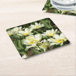 Fält i vita tulpanfoto underlägg papper kvadrat