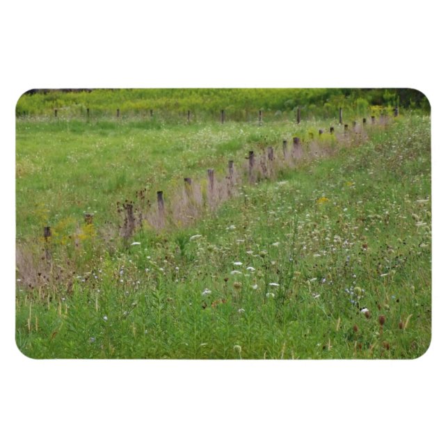 Fält i Wildblommor Magnet (Horisontell)