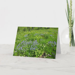 Fält i Wildblommor på berget Rainier Kort