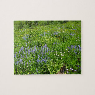 Fält i Wildblommor på berget Rainier Pussel