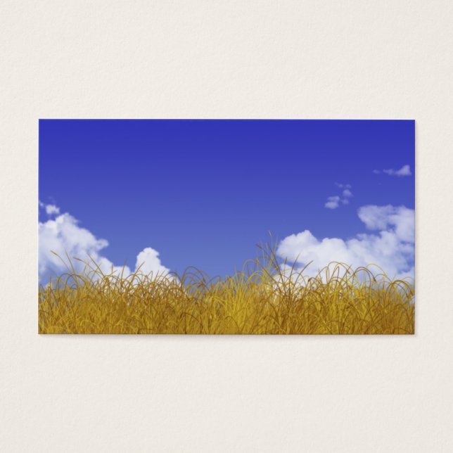 Fält-kort Visitkort (Framsidan)