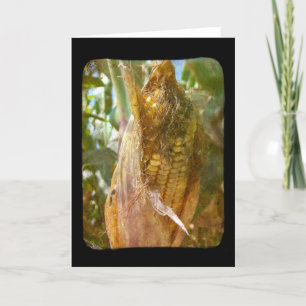 Fält Maj Blank Inside Tillfällen Hälsning Kort