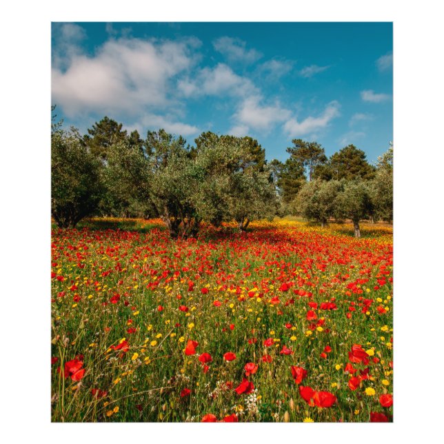 fält med blommor och träd fototryck (Framsidan)