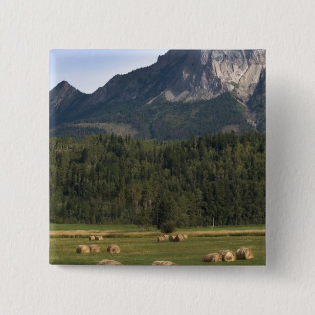 Fält med höbalar, Alberta, Kanada Knapp (Framsida)