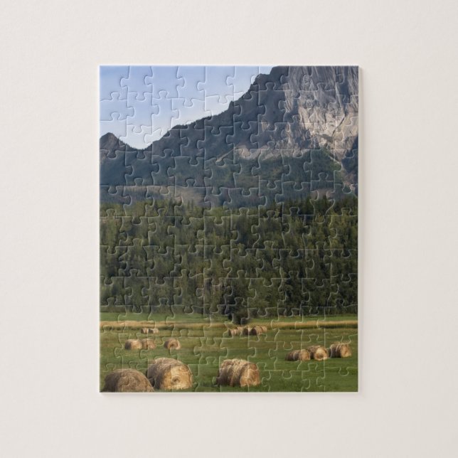 Fält med höbalar, Alberta, Kanada Pussel (Vertikal)