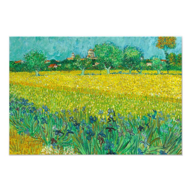 Fält med Irises nära Arles av Vincent van Gogh Fototryck (Framsidan)
