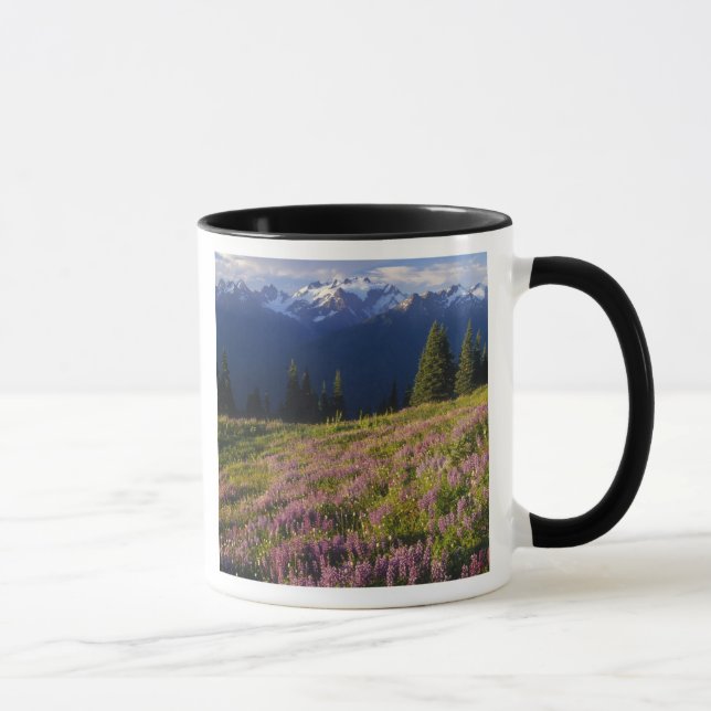 Fält med lupin, Mt. Olympus och moln vid Mugg (Höger)