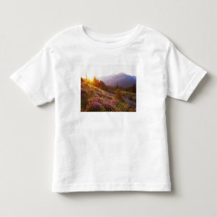 Fält med lupin och Olympiska bergen vid Tee Shirt