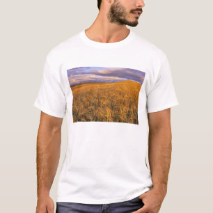 Fält med mognande korn längs med Rocky Tee Shirt