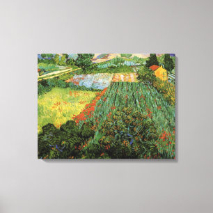 Fält med Poppies av Vincent van Gogh Canvastryck