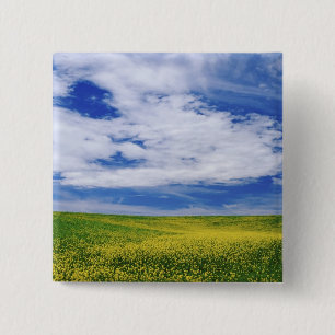 Fält med raps- eller senapsblommor, Palouse Knapp