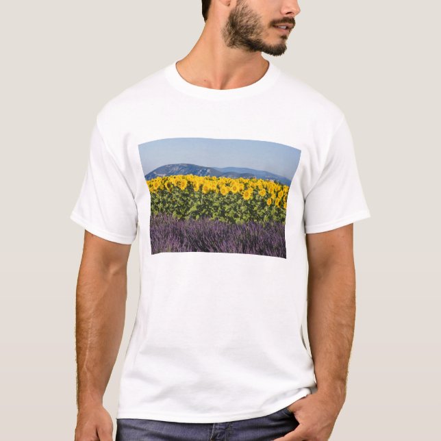 Fält med solrosor och lavendelblommor, t shirt (Framsida)