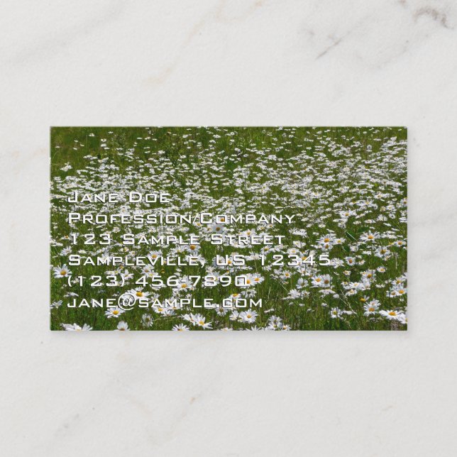 Fält med tusenskönor Alaskanska vildblommor Visitkort (Framsida)