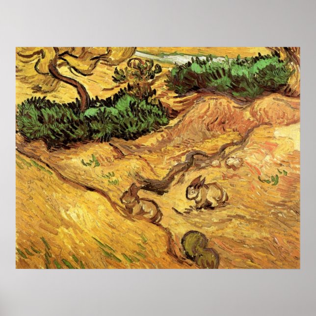 Fält med två kaniner av Vincent van Gogh Poster (Framsidan)