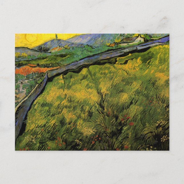Fält med vårvete, soluppgång av Vincent van Gogh Vykort (Framsida)