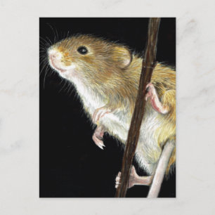 Fält Mouse-design Vykort