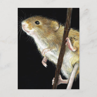 Fält Mouse-design Vykort