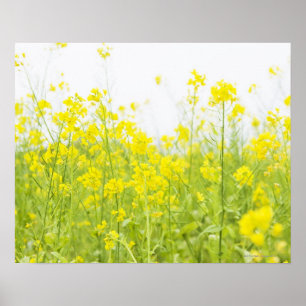 Fält Mustard 2 Poster