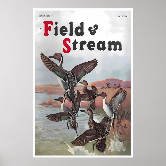 Fält- och strömomslag Ankjakt Konstaffisch För Poster (Framsidan)