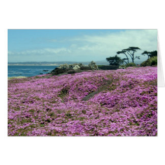 ’Fält of Flowers’ OBS Kort