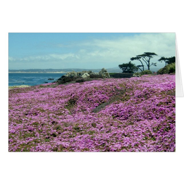 ’Fält of Flowers’ OBS Kort (Framsidan Horizontal)