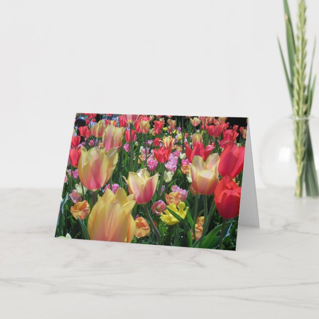 Fält på Tulips Card Kort (Framsida)